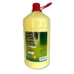 Condicionador Ouribel Óleo de Rícino 1L