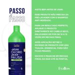Évallos Vegana Sem Choro Sem Pausa Kit - 2 Progressivas 1000ml