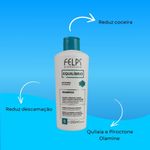 Felps Equilíbrio Anticaspa - Shampoo Anticaspa - 250ml
