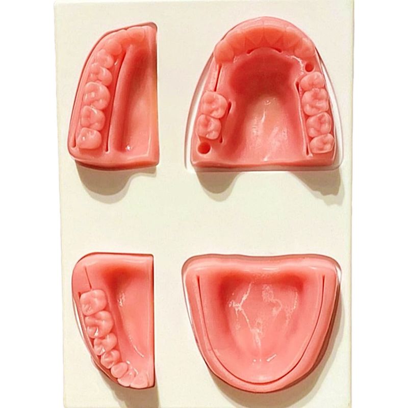 Simulador de Sutura Dental Supermedy - unidade