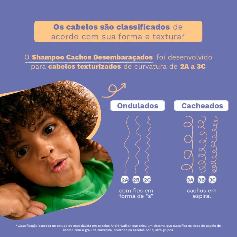 Padrao 1200