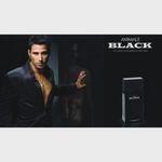 Animale Black - Eau de Toilette Masculino - 100ml
