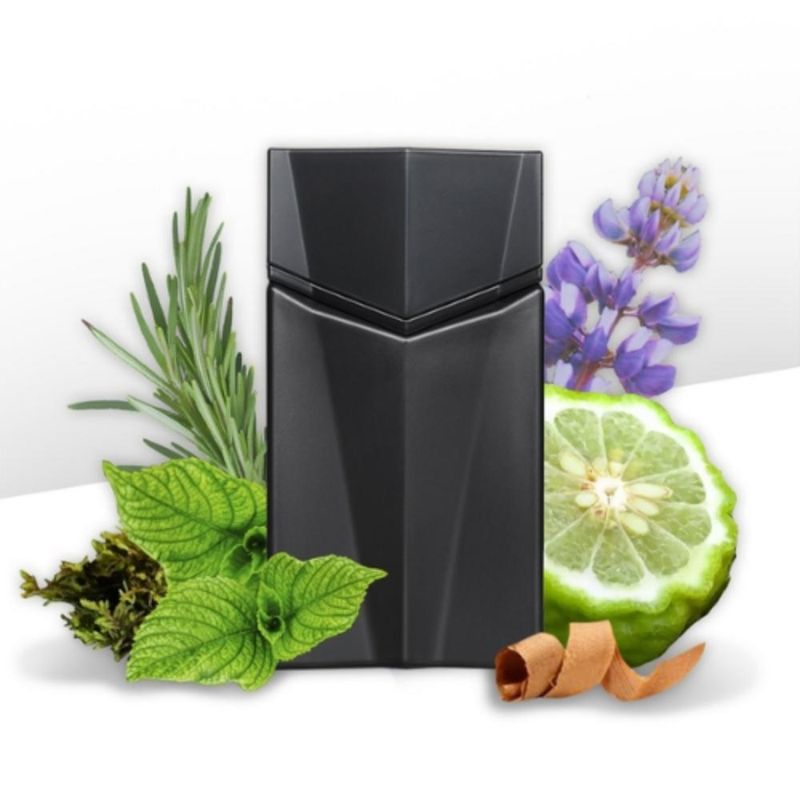 Animale Seduction Homme - Eau de Toilette Masculino - 30ml