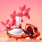Calvin Klein Euphoria - Eau de Parfum - Perfume Feminino - 50ml