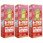 Kit 3x Flora Nativa - B-Trix Metilcobalamina (Vitamina B12 Infantil) - 20ml