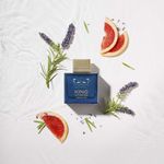 Banderas - Perfume King of Seduction Absolute Masculino - Eau de Toilette - 100ml