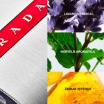 Perfume Prada Luna Rossa Masculino - Eau de Toilette - 100ml