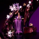 Thierry Mugler - Alien Eau de Toilette - Perfume Feminino 30ml