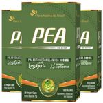 Kit 3x PEA Palmitoiletanolamida Levagen - 300mg - 30 Cápsulas - Flora Nativa