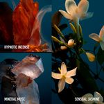 Paco Rabanne - Perfume Feminino - Fame Parfum 200ml (Refil)