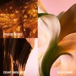 Paco Rabanne - Perfume Feminino - Fame Intense Eau de Parfum 30ml