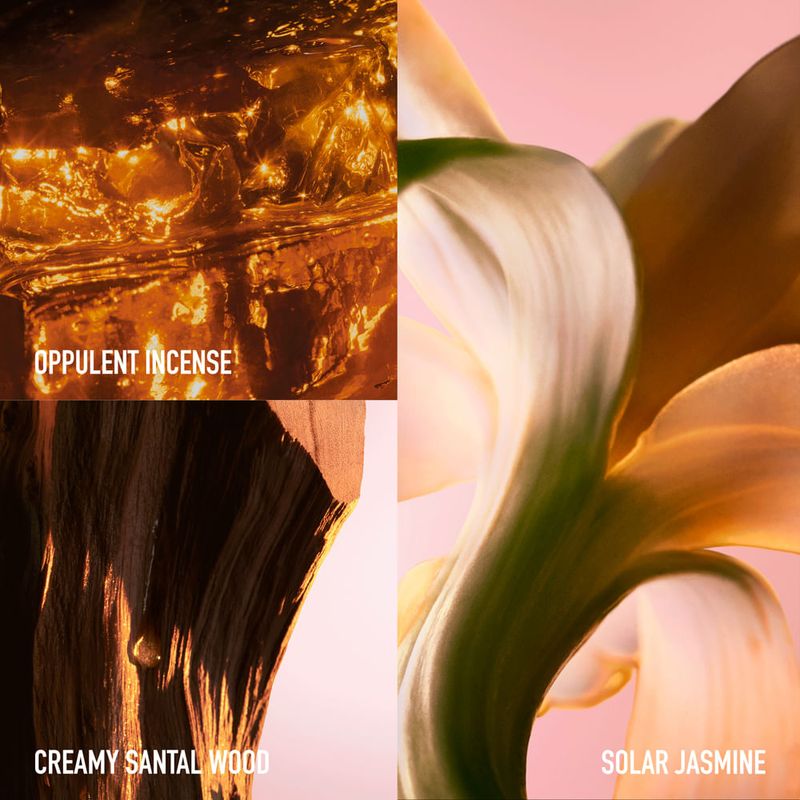 Paco Rabanne - Perfume Feminino - Fame Intense Eau de Parfum 30ml