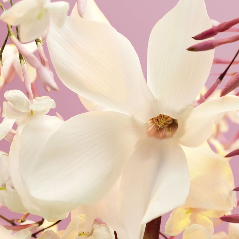 Paco Rabanne - Perfume Feminino - Fame Eau de Parfum 10ml