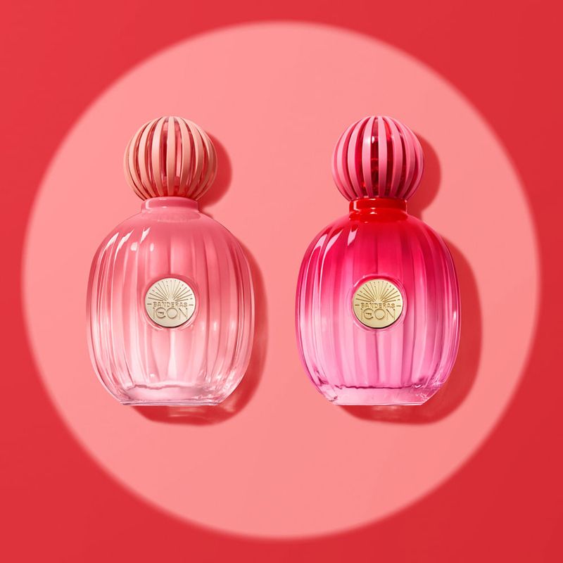 Antonio Banderas - Perfume Feminino - The Icon Splendid Eau de Parfum 50ml