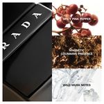 Perfume Prada - Luna Rossa Black Eau de Parfum Masculino - 50ml