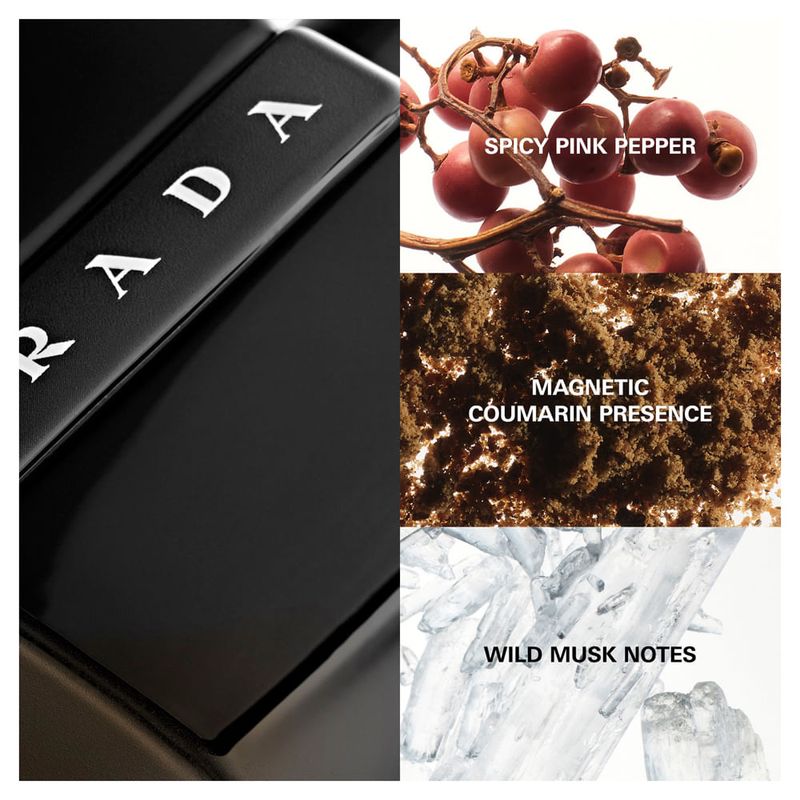 Perfume Prada - Luna Rossa Black Eau de Parfum Masculino - 50ml