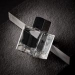 Perfume Banderas - Seduction in Black Eau de Toilette Masculino - 50ml