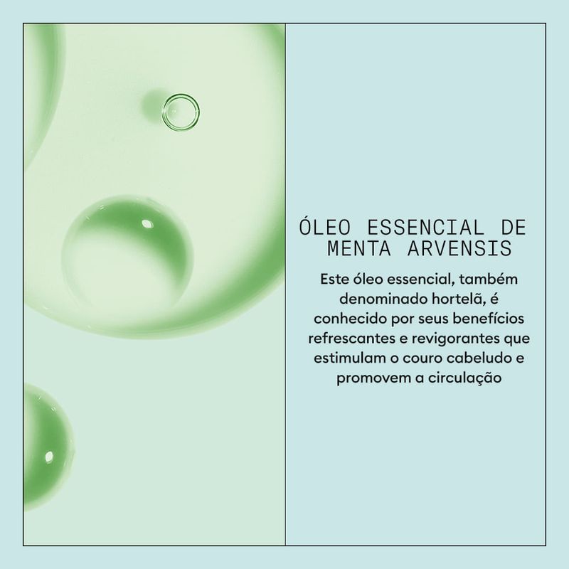 Shampoo 200ml - Nioxin - Anticaspa Purificante Scalp Recovery