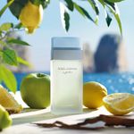 Dolce & Gabbana - Light Blue Eau de Toilette - Perfume Feminino 100ml