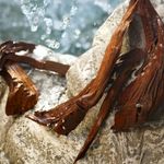 Dolce & Gabbana - Light Blue Eau de Toilette - Perfume Feminino 100ml