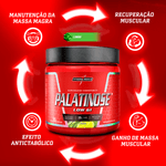 Palatinose - Integralmédica 300g - Neutro
