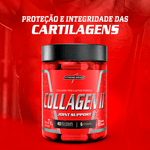 Collagen II - Integralmédica - 60 Cápsulas