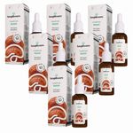 Kit 6x Extrato Reishi - Ganoderma Lucidum - 30ml - Fungilovers