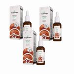 Kit 3x Extrato Reishi - Ganoderma Lucidum - 30ml - Fungilovers