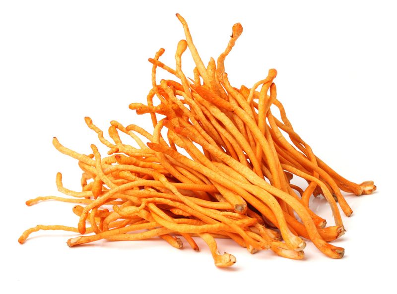 Kit 3x Extrato Cordyceps - Cordyceps Militaris - 30ml - Fungilovers