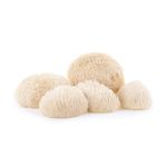 Extrato Juba de Leão - Hericium Erinaceus Lion's Mane - 30ml