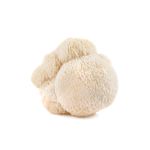 Extrato Juba de Leão - Hericium Erinaceus Lion's Mane - 30ml