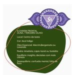 Sinergia Chakra 6 Ajna Roll-on - 10ml - Fórmula Exclusiva