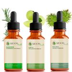 Kit Óleos Vegetais - Alecrim, Rícino e Amla - 30ml Cada