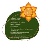 Sinergia Chakra 2 Svadhisthana Roll-on - 10ml - Fórmula Exclusiva