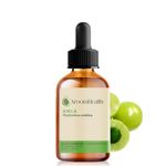 Aroom Health - Óleo Vegetal Puro Natural Amla - 50ml