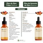 Kit de Óleos Alecrim, Ojon Polpa e Rícino - 100ml Cada - Aroom Health