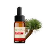 Seiva Sangue de Dragão - 10ml - Aroom Health