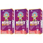 KIT 3X NEURIX Mg Fe Metilfolato B12 150ml - Flora Nativa - Uva