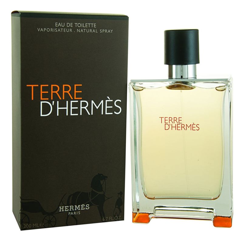 Terre d’Hermès - Eau de Toilette Masculino - 100ml