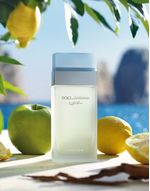 Dolce & Gabbana Light Blue - Eau de Toilette - Perfume Feminino 50ml