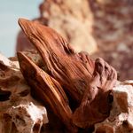 Dolce & Gabbana K Pour Homme - Parfum - Perfume Masculino - 100ml