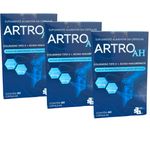 Kit 6 Meses Artro AH - Colágeno Tipo 2 + Ácido Hialurônico - Sem Sabor