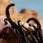 Dolce & Gabbana - Q - Parfum - Perfume Feminino - 100ml