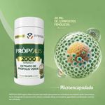 Apisvida - Própolis Verde - Suplemento em Cápsulas 500mg - 6x 120 Cápsulas