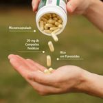 Apisvida - Própolis Verde - Suplemento em Cápsulas 500mg - 120 Cápsulas