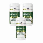 Apisvida - Própolis Verde - Suplemento em Cápsulas 500mg - 3x 120 Cápsulas