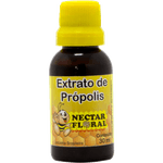 principal