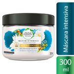 9b7d1745f844333d7b84da3293a55de7_herbal-mascara-para-tratamento-capilar-herbal-essences-oleo-de-argan-300ml_lett_1
