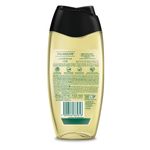 6a94220833ce0156e427b5d1a4423bd2_palmolive-sabonete-liquido-palmolive-luminous-oil-abacate-e-iris-250ml_lett_10
