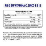Vitamina-C-1000-Mg---Zinco-E-B12-Vitgold-60-Caps